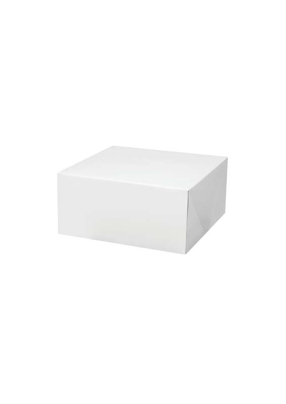 Wilton White Square Corrugated Cake Box, 2-Count - 25.4 x 24.4 x 12.7 cm