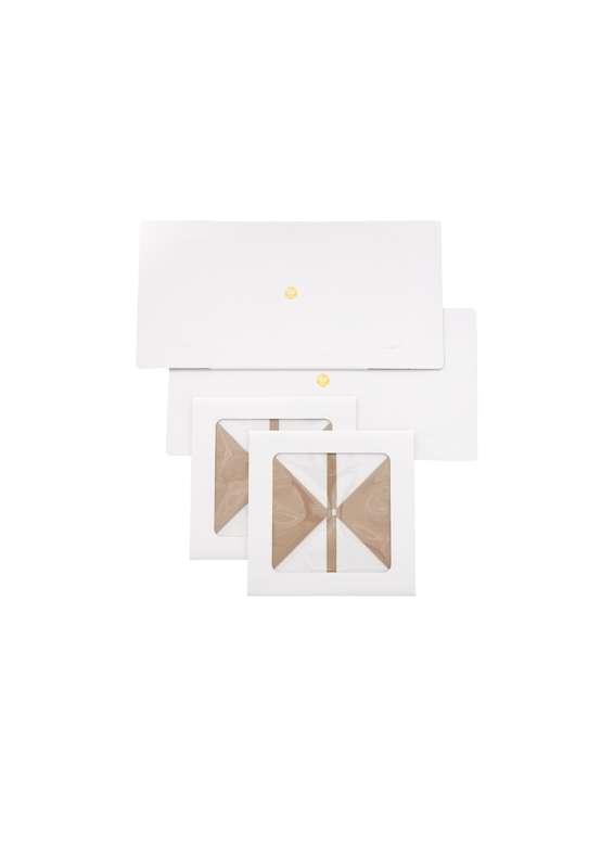 Wilton  Cake Box With Window ? 2-Piece Set (30.5 x 30.5 x 15.2 cm)