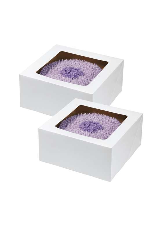 Wilton  Cake Box With Window ? 2-Piece Set (30.5 x 30.5 x 15.2 cm)