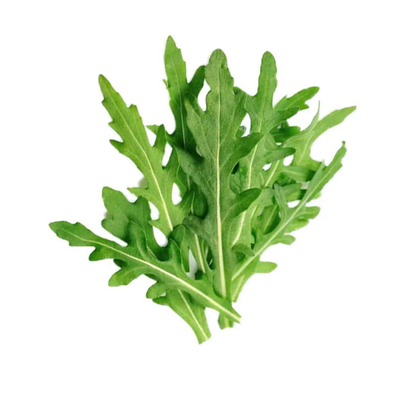 Summer Salad Mix-Plant Pod-Pack of 10