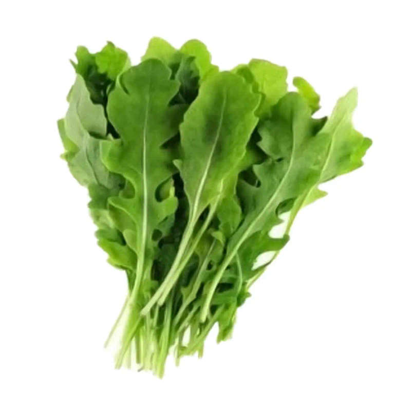 Summer Salad Mix-Plant Pod-Pack of 10