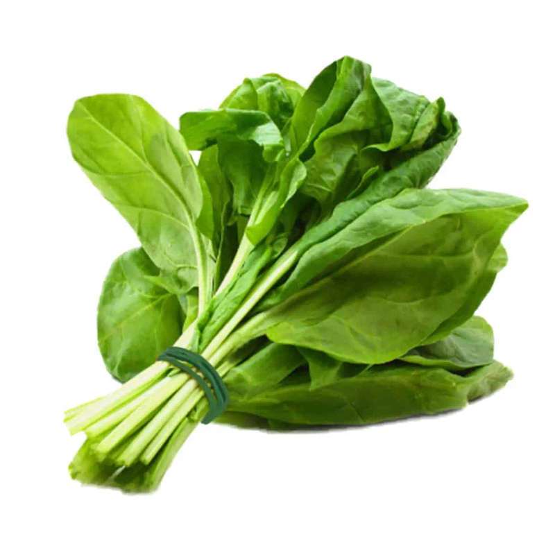 Summer Salad Mix-Plant Pod-Pack of 10