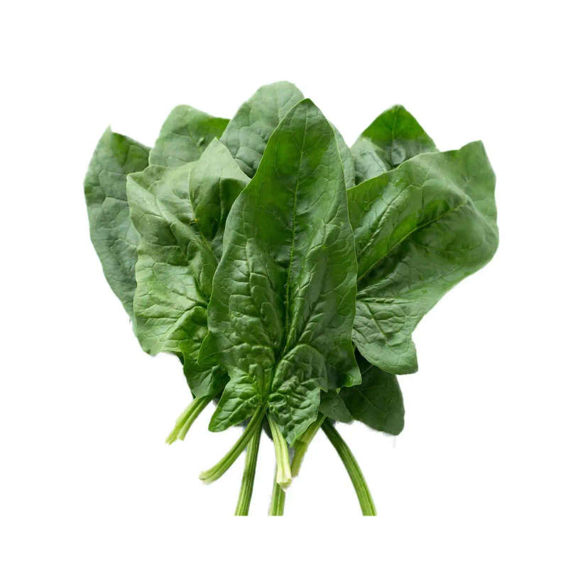 Summer Salad Mix-Plant Pod-Pack of 10