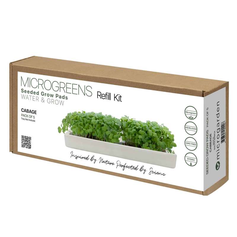 Microgreens Cabbage Refill-Pack of 5