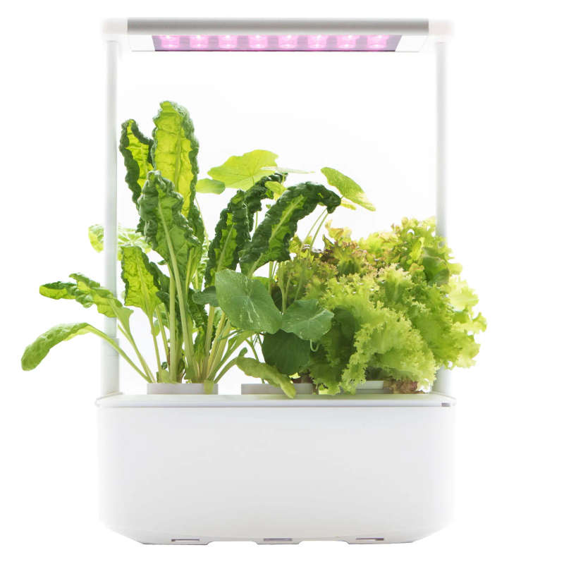 Smart Garden 3
