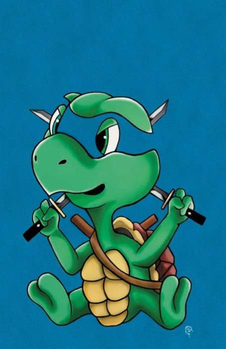 Teenage Mutant Ninja Turtles: The Last Ronin - Lost Years Issue # 1-4 cbno