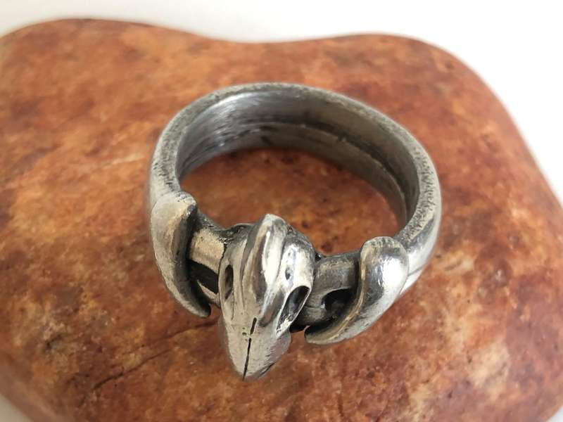 Silver Tone Animal Skull Ring #ML320 R295.00 | Dimensions: Ring Size T1/2