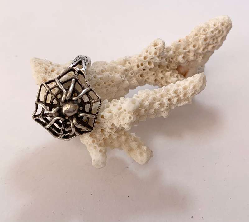 Ring - Band With Spider Web and Spider Pattern In Centre. 925 Silver #ML1084 R395.00 | Dimensions...