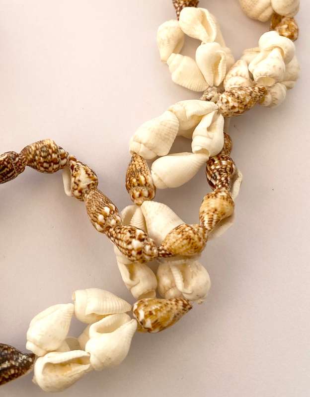 Necklace - Long Strand Made From Shells In whites and Browns #ML1651