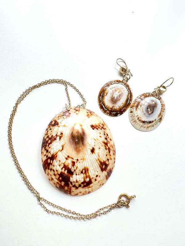 Set - Vintage Striped Coloured Shell Necklace with Matching Earrings for Pierced Ears. Gold Tone ...