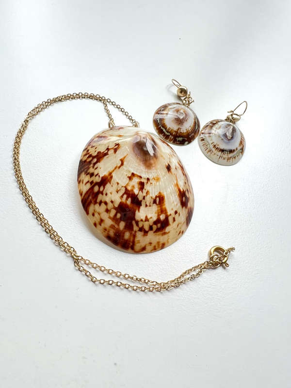 Set - Vintage Striped Coloured Shell Necklace with Matching Earrings for Pierced Ears. Gold Tone ...