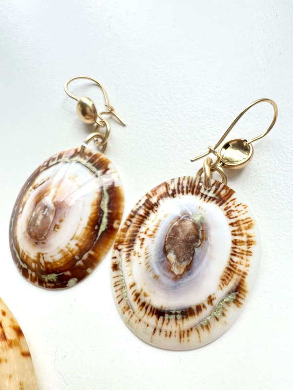 Set - Vintage Striped Coloured Shell Necklace with Matching Earrings for Pierced Ears. Gold Tone ...