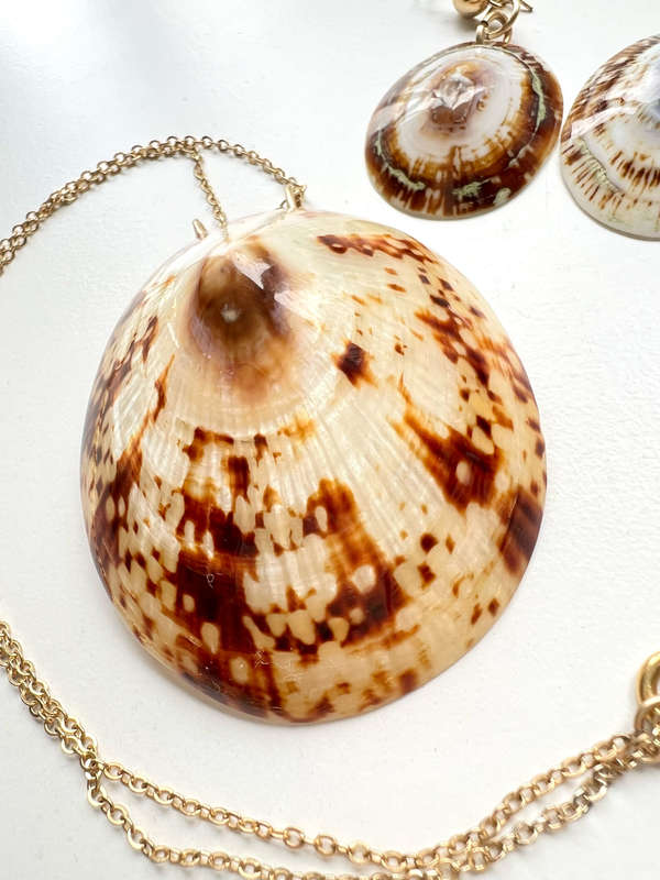 Set - Vintage Striped Coloured Shell Necklace with Matching Earrings for Pierced Ears. Gold Tone ...