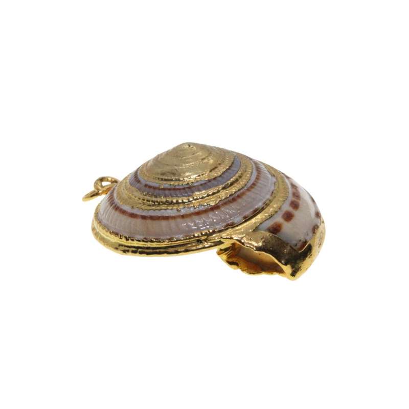 Pendant - Gold Tone Sea Shell Pendant. White Swirls with Gold Trimming - ML3354