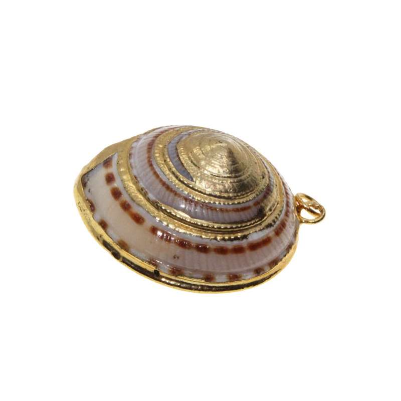 Pendant - Gold Tone Sea Shell Pendant. White Swirls with Gold Trimming - ML3354