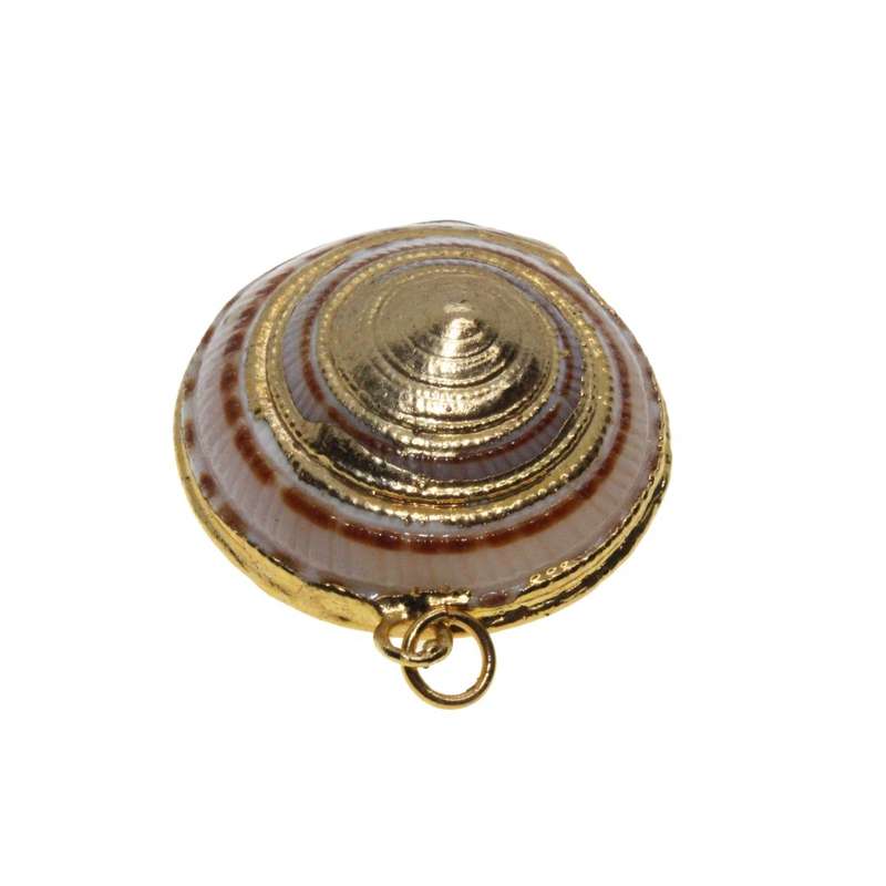 Pendant - Gold Tone Sea Shell Pendant. White Swirls with Gold Trimming - ML3354