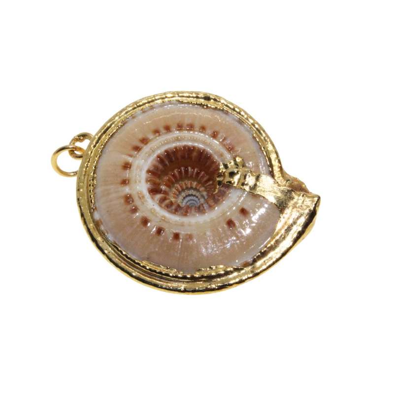 Pendant - Gold Tone Sea Shell Pendant. White Swirls with Gold Trimming - ML3354