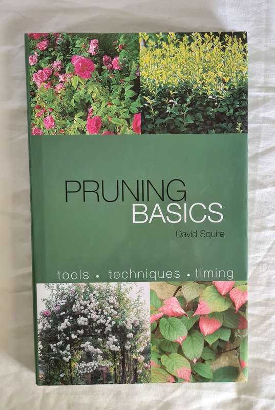 Pruning Basics