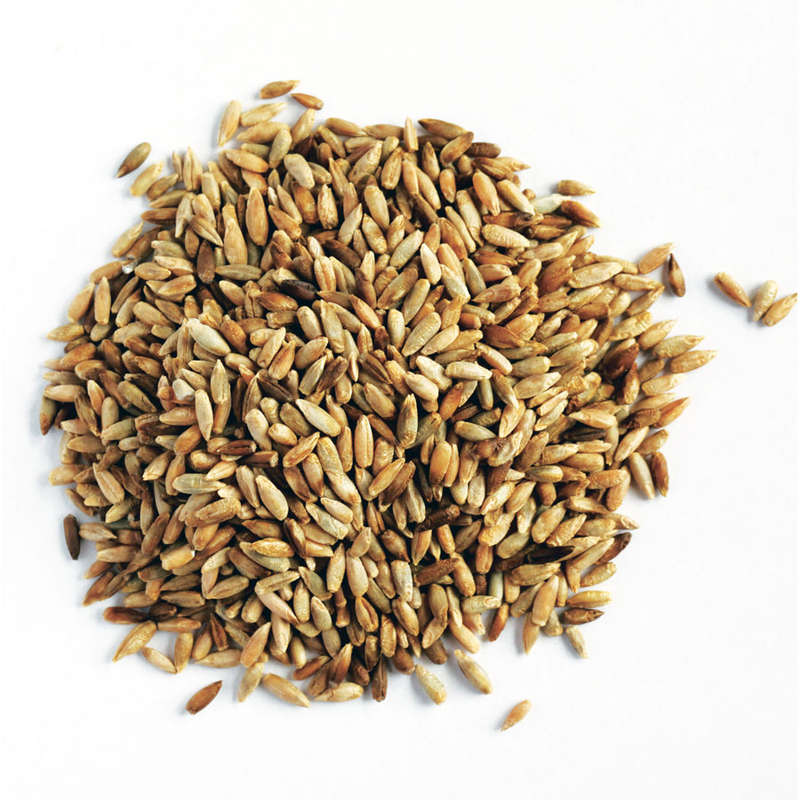Rye