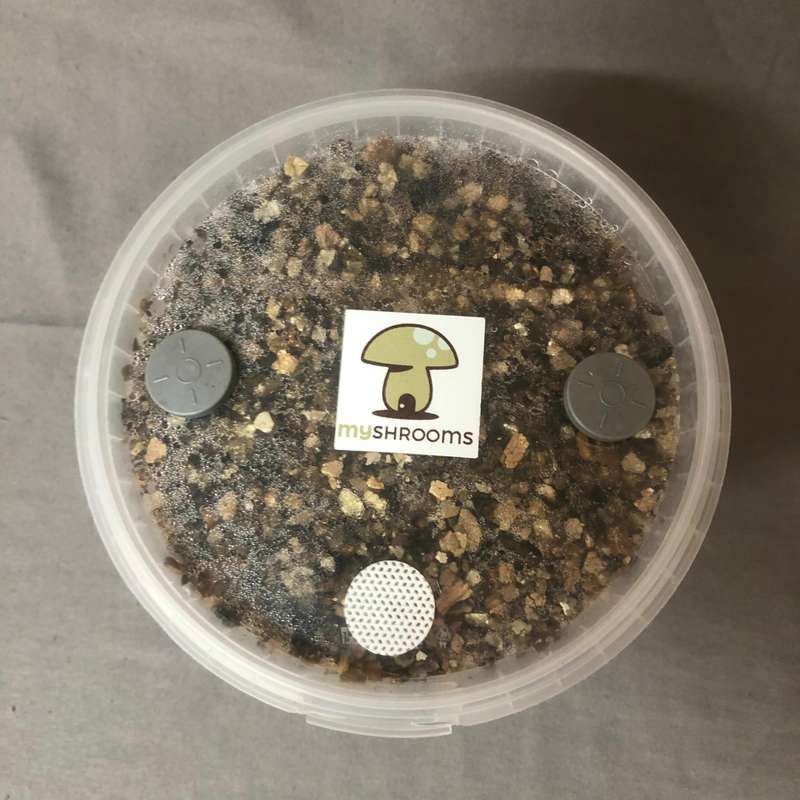 PF TEK Kit
