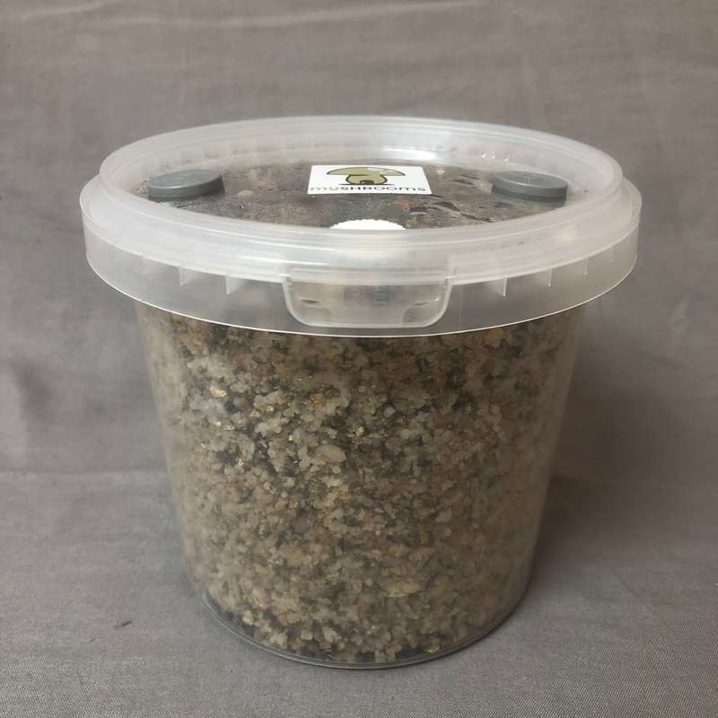 PF TEK Kit