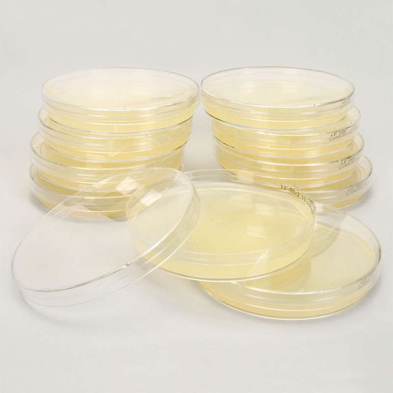 Premade MEA Agar Plate