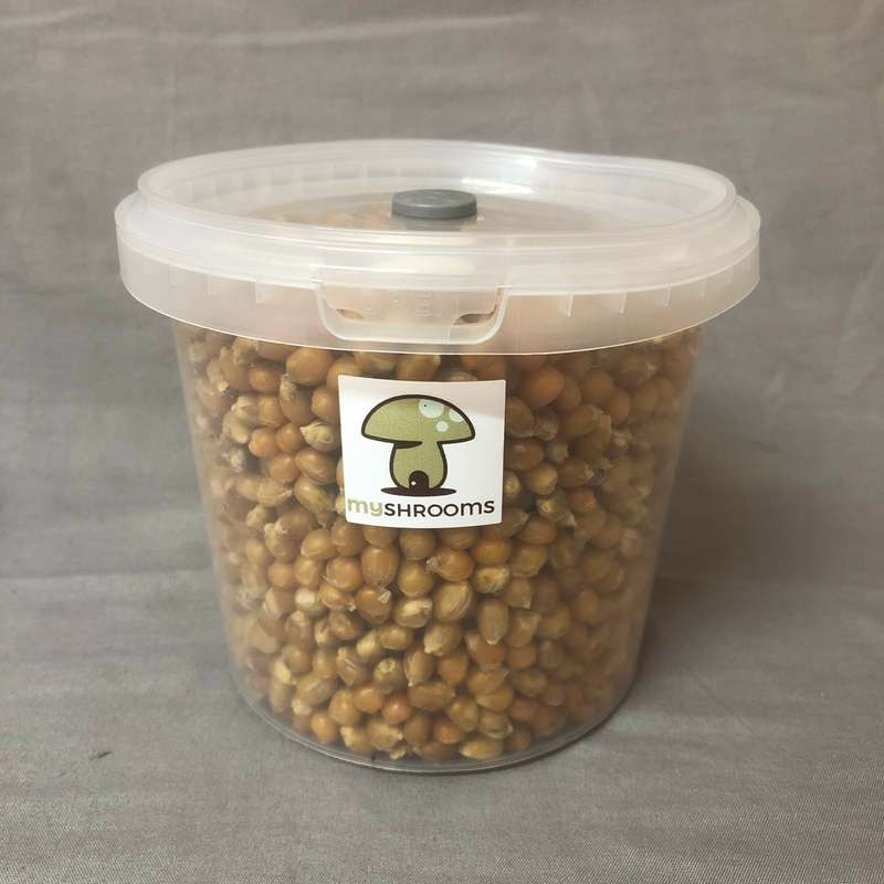 Grain Spawn Kit