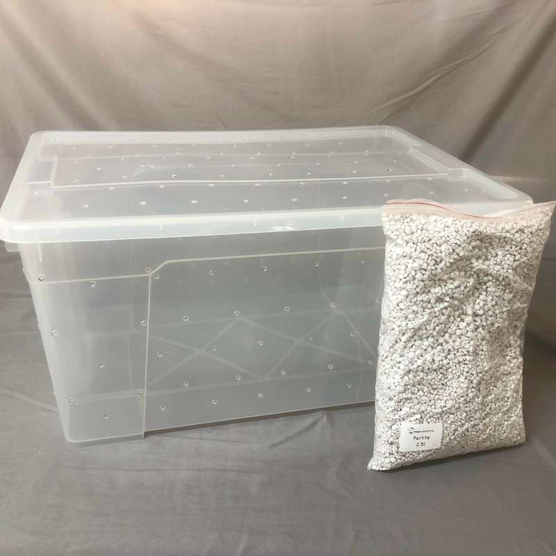 Shotgun Fruiting Chamber