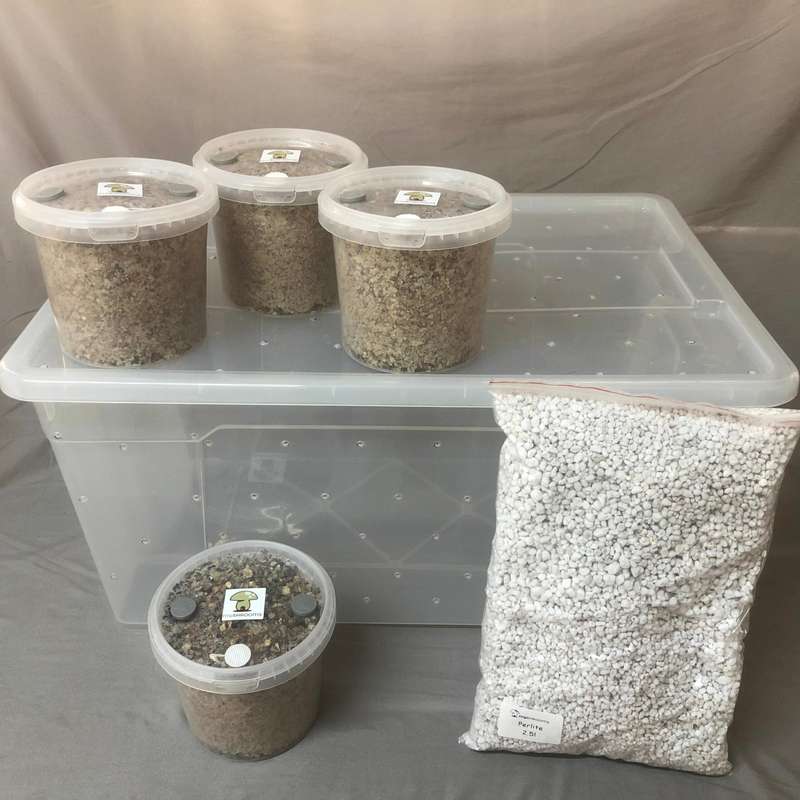 Shotgun Fruiting Chamber Combo