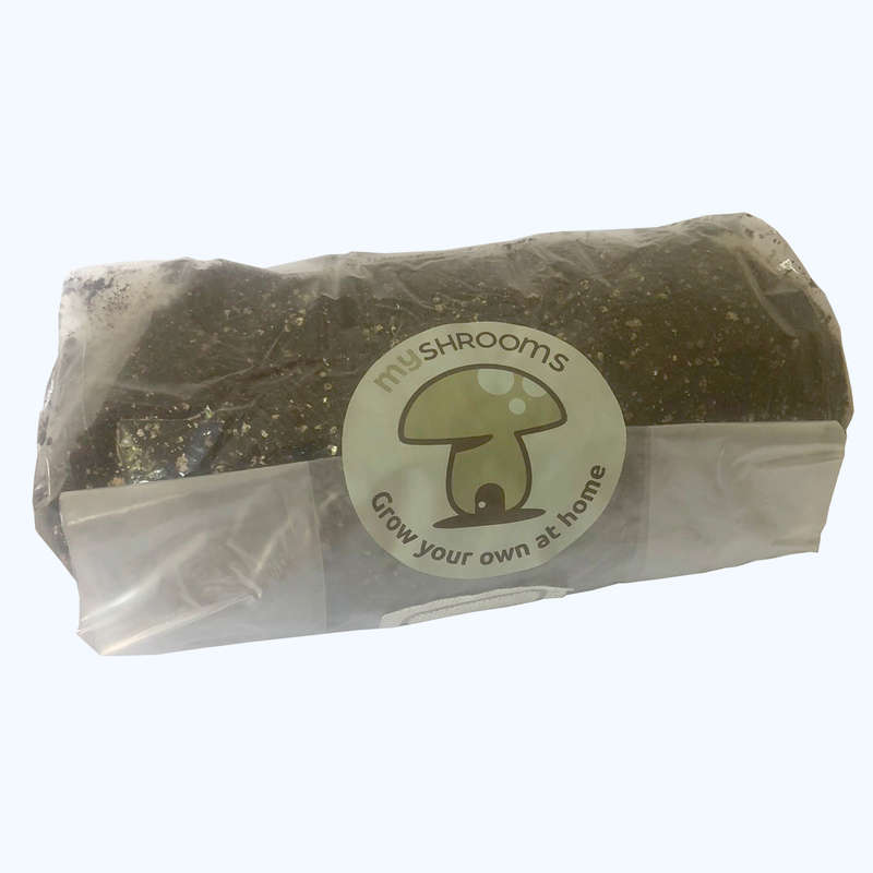 Grow In A Bag Kit