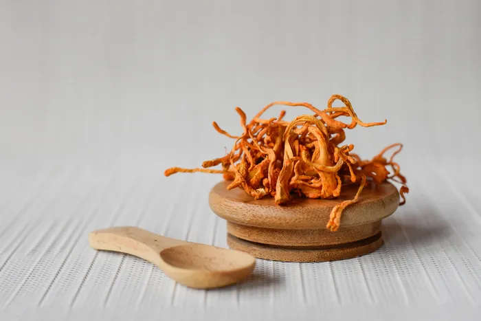 Dried Cordyceps Fruit