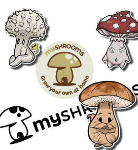 MyShrooms License Disc Stickers