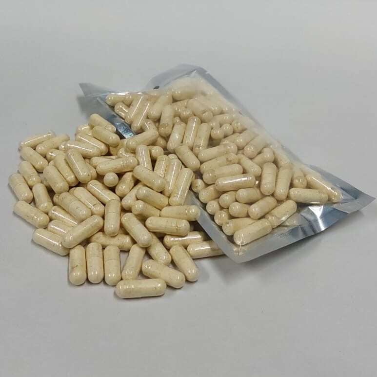 Lion's Mane Capsules Refill