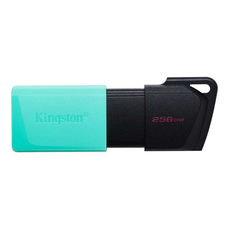 Kingston DataTraveler Exodia M 256GB USB Flash Drive