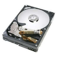 Hitachi HGST HCS725050VLA380 CinemaStar 500Gb 7200Rpm SATA-300 3.5-Inch Hard Drive