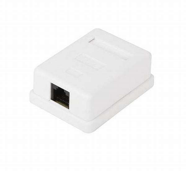 Cattex CAT6 Single Wall Box - Networking