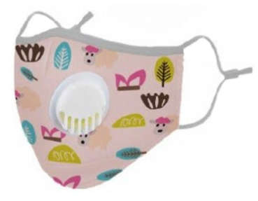 Clinic Gear Kids Washable Protective Mask with filter -Girls