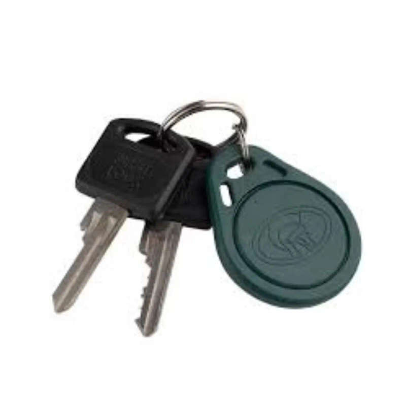 Solo & Lattice Green Keyring Tag