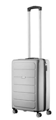 Travelwize Maple ABS 55cm 4-Wheels Spinner Luggage Silver
