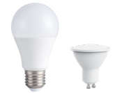 Shelly Duo Smart Bulb / Cool Or Warm White / Dimmable / E27 Socket