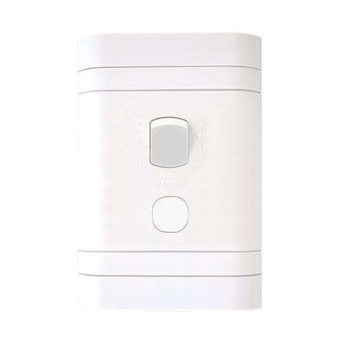 Lesco 2 Pole Flush Isolator Switch with Rectangle Flush