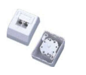NetiX UTP CATE Wall Mount Box W/ PCB Dual Port