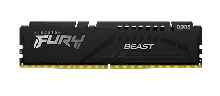 Kingston FURY Beast DDR5 Memory