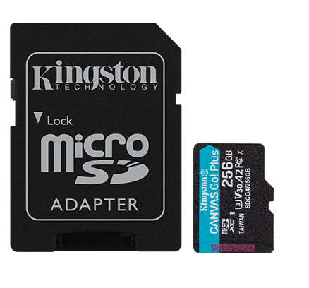 Kingston Canvas Go! Plus G4 256GB microSD Memory Card