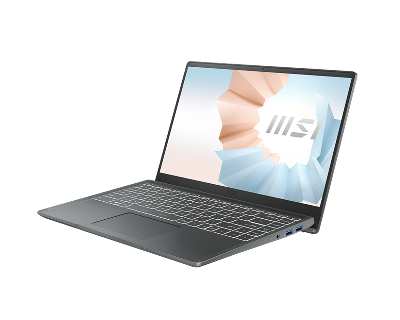 MSI Modern 14|Intel Core i5-1334U |Iris Xe Graphics|DDR4 8GBx2/512GB S