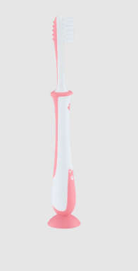 Pigeon Training Toothbrush Lesson 4 - Pink