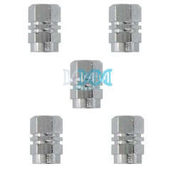 Valve Cap Set 5 Piece Blister Silver
