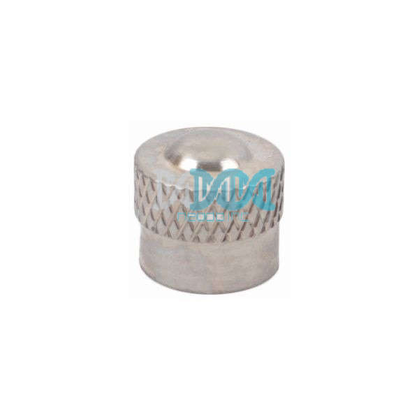 Valve Caps Silver(100 pieces)