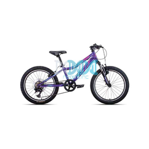 Apex 20 Inch Mountain Bicycle Green For Ladies A200L