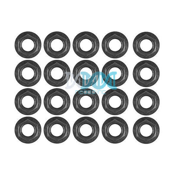 Bb Alxe Nut 20Pcs In Bag